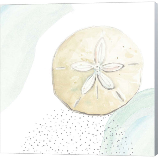 Turquoise Ocean Sand Dollar by Patricia Pinto, Canvas Art