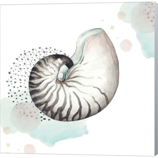 Turquoise Ocean Nautilus by Patricia Pinto, Canvas Art