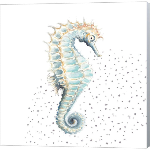 Turquoise Seahorse by Patricia Pinto, Canvas Art
