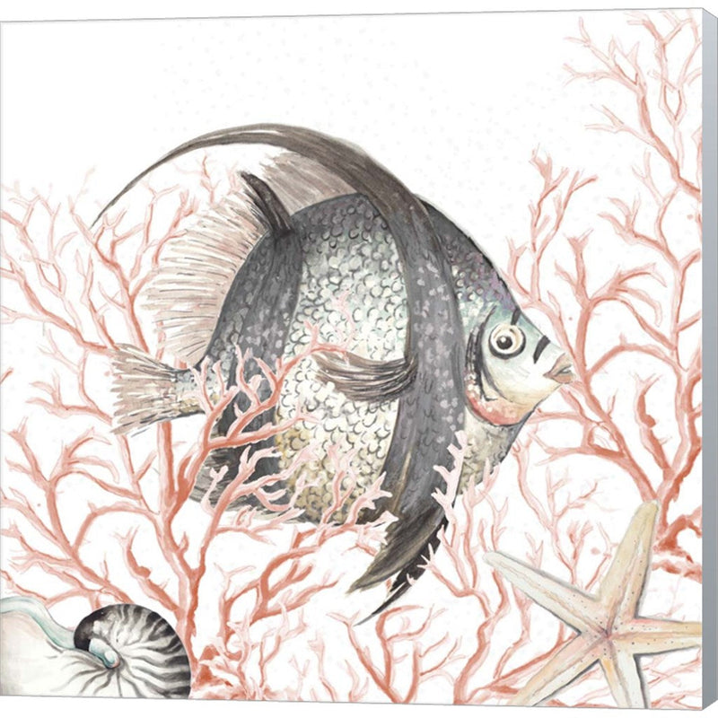 Ocean Fish On Coral by Patricia Pinto, Canvas Art