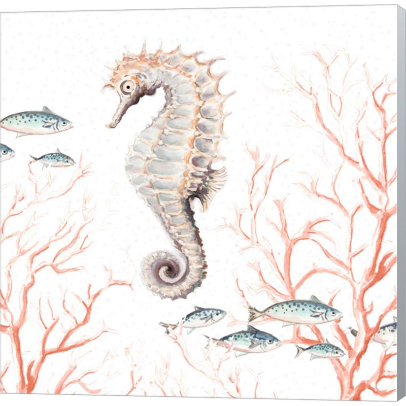 Seahorse On Coral by Patricia Pinto, Canvas Art