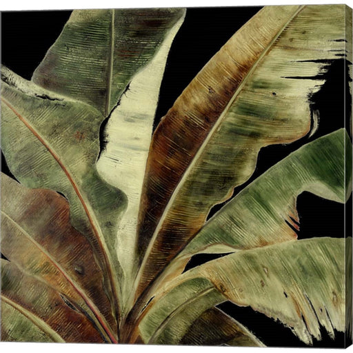 Uraba Palm on Black I by Patricia Pinto, Canvas Art