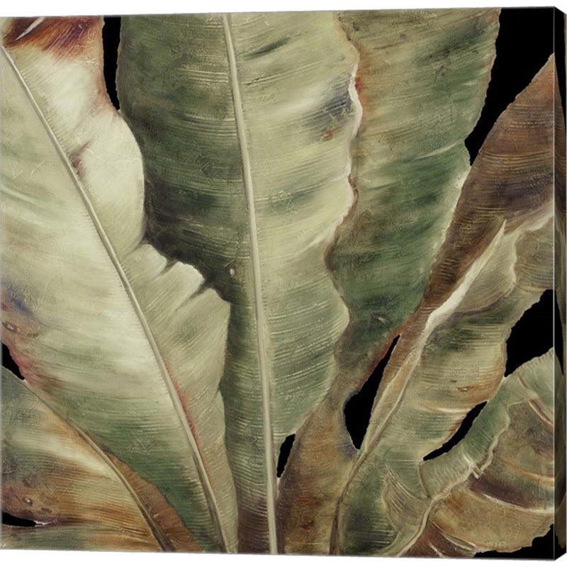 Uraba Palm on Black II by Patricia Pinto, Canvas Art