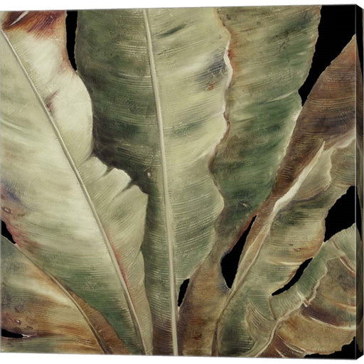 Uraba Palm on Black II by Patricia Pinto, Canvas Art