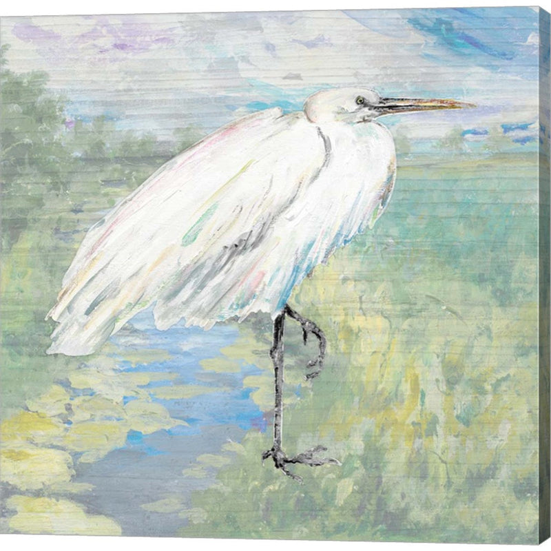 Wild Egret by Patricia Pinto, Canvas Art