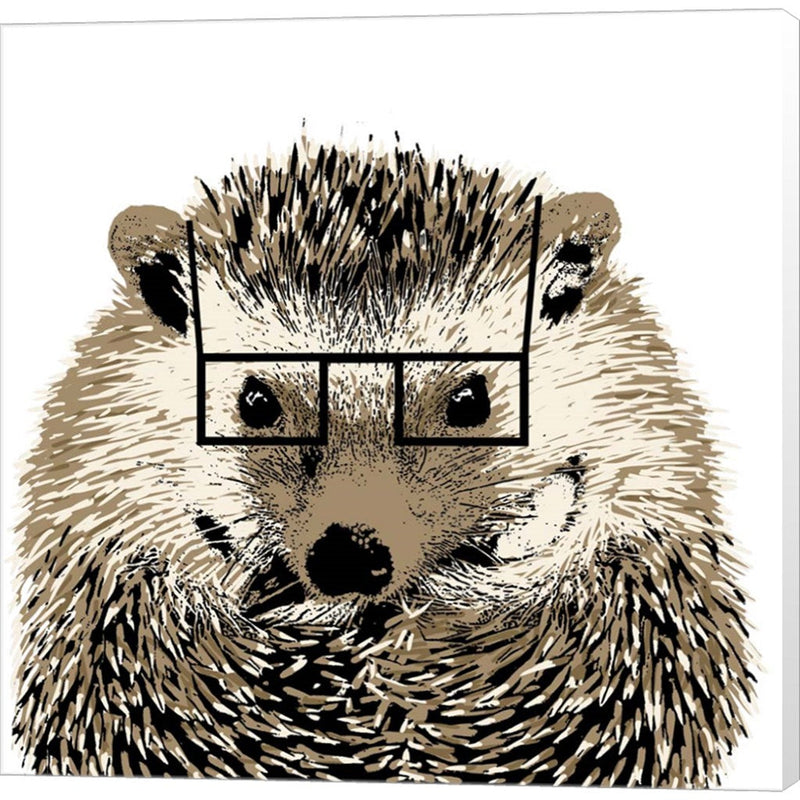 Good Looking Hedgehog by SD Graphics Studio, Canvas Art