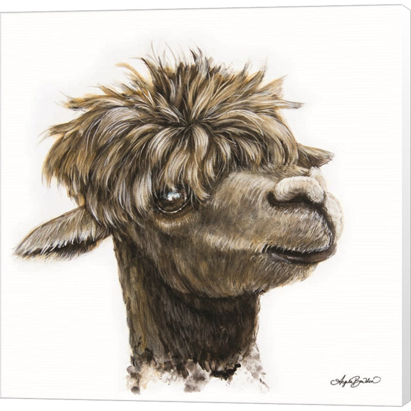 Skippy the Alpaca by Angela Bawden, Canvas Art