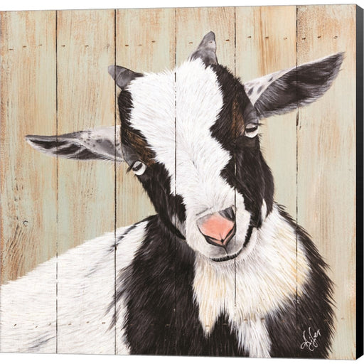 Want to Play? by Diane Fifer, Canvas Art