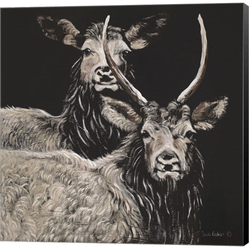 Two Woodland Deer by Suzi Redman, Canvas Art
