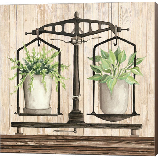 Farmhouse Finds III by Cindy Jacobs, Canvas Art