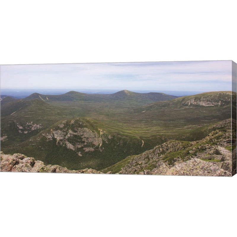 Main Wilds by Lori Deiter, Canvas Art