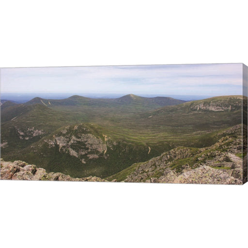Main Wilds by Lori Deiter, Canvas Art