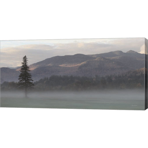 Adirondack Misty Morning by Lori Deiter, Canvas Art