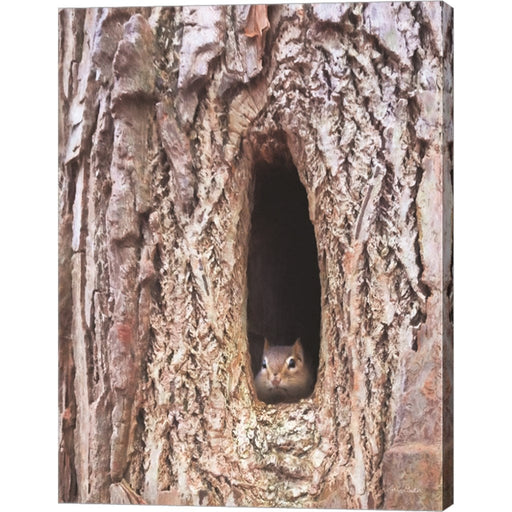Is It Spring Yet? by Lori Deiter, Canvas Art