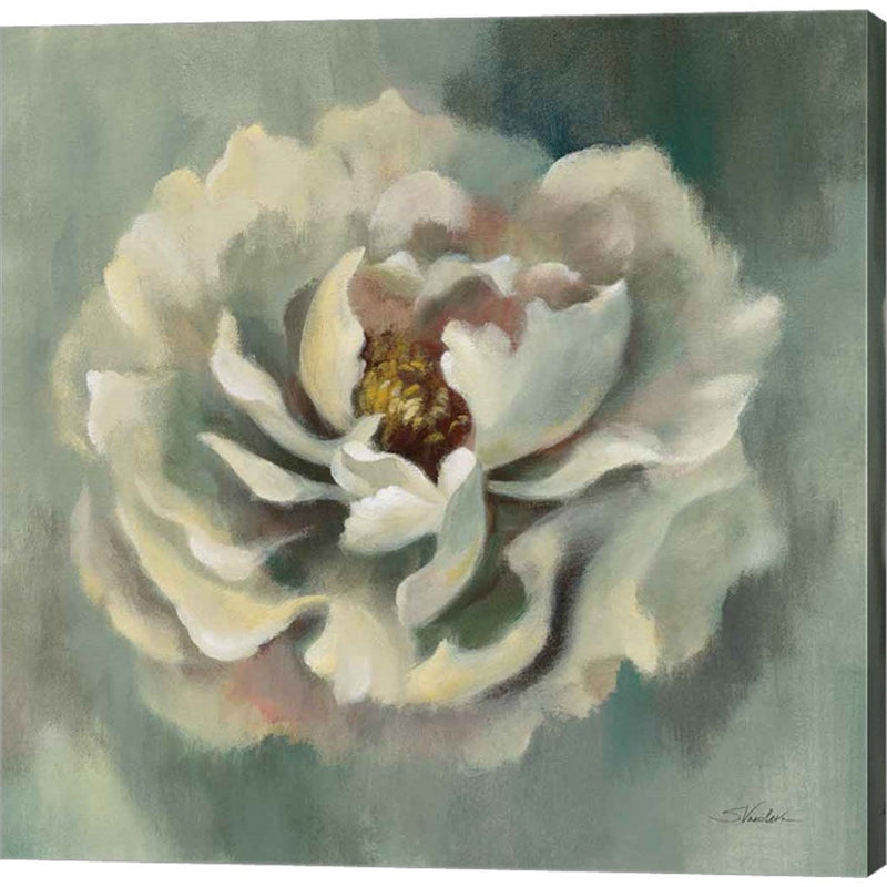 Dancing Petals by Silvia Vassileva, Canvas Art