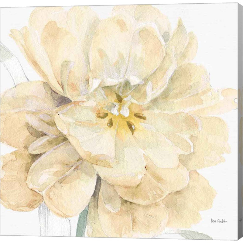 Spring Meadow V Cream by Lisa Audit, Canvas Art