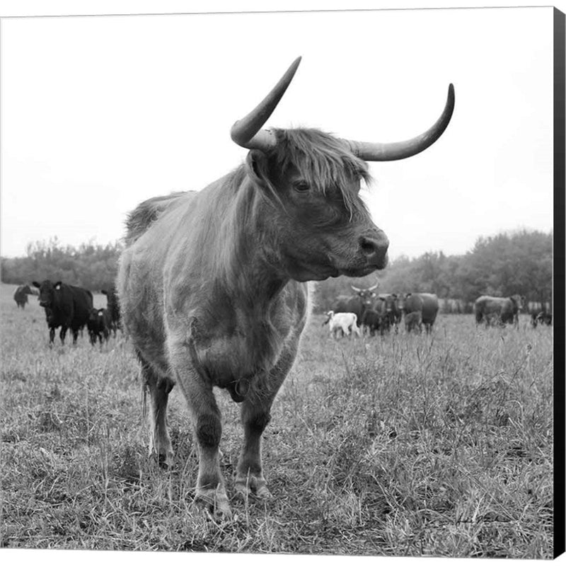 On the Ranch II by Andre Eichman, Canvas Art
