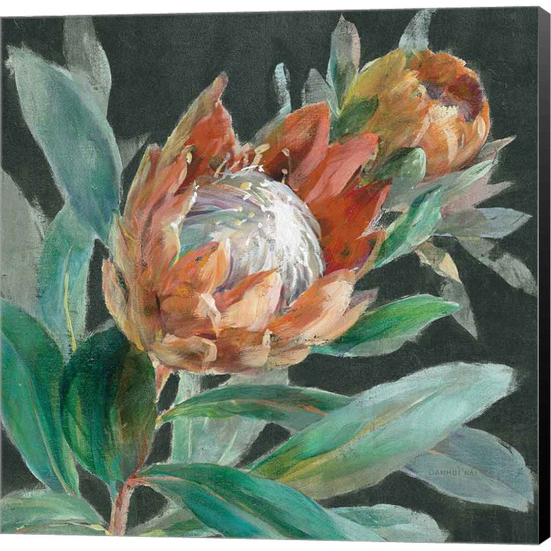 Deep Tropical Protea Crop by Danhui Nai, Canvas Art