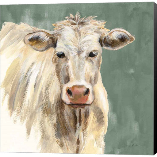 White Cow on Sage by Silvia Vassileva, Canvas Art