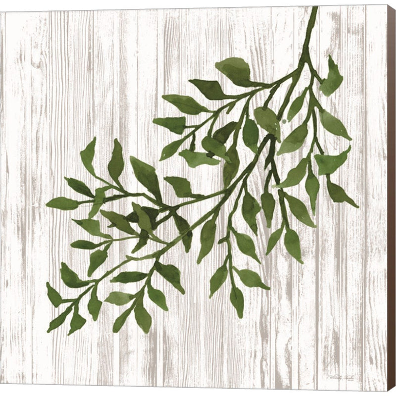 Leaves on White by Cindy Jacobs, Canvas Art