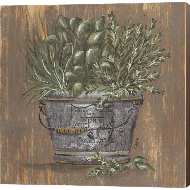 Herb Trio in Pail by Julie Norkus, Canvas Art