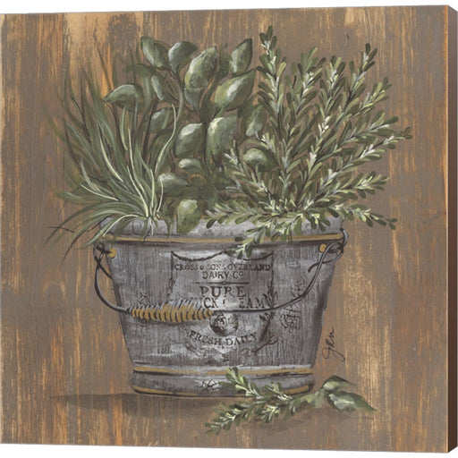 Herb Trio in Pail by Julie Norkus, Canvas Art