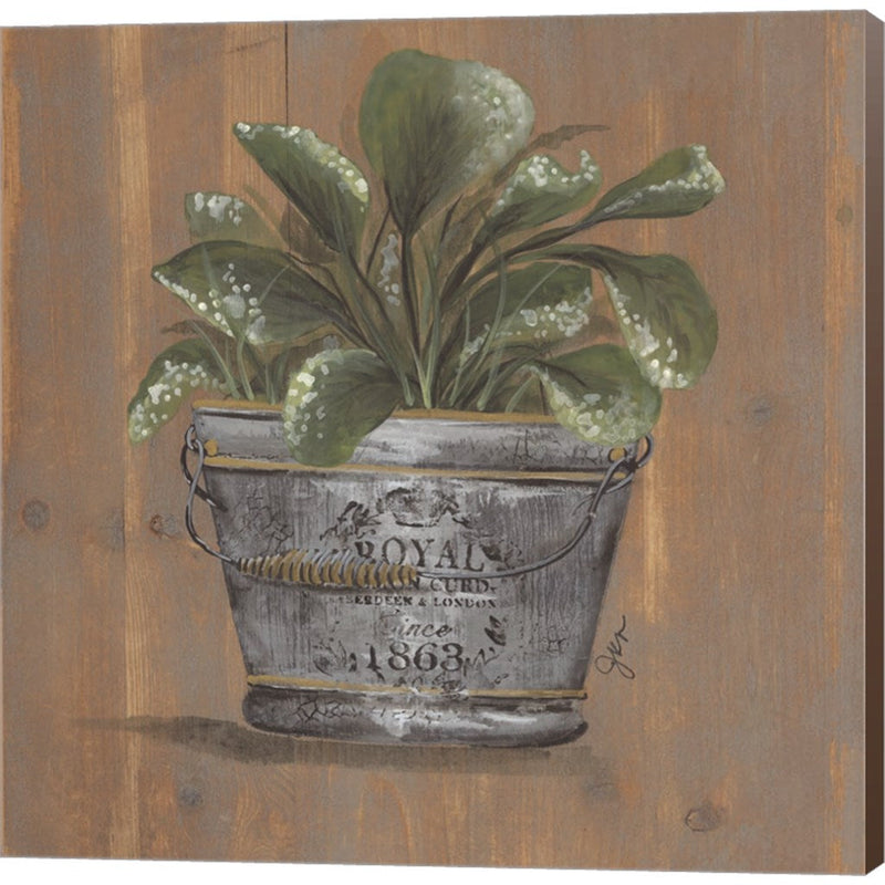 Pretty Plant in Pail by Julie Norkus, Canvas Art