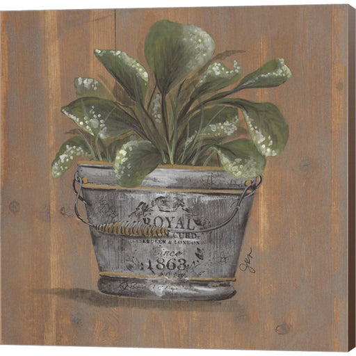 Pretty Plant in Pail by Julie Norkus, Canvas Art