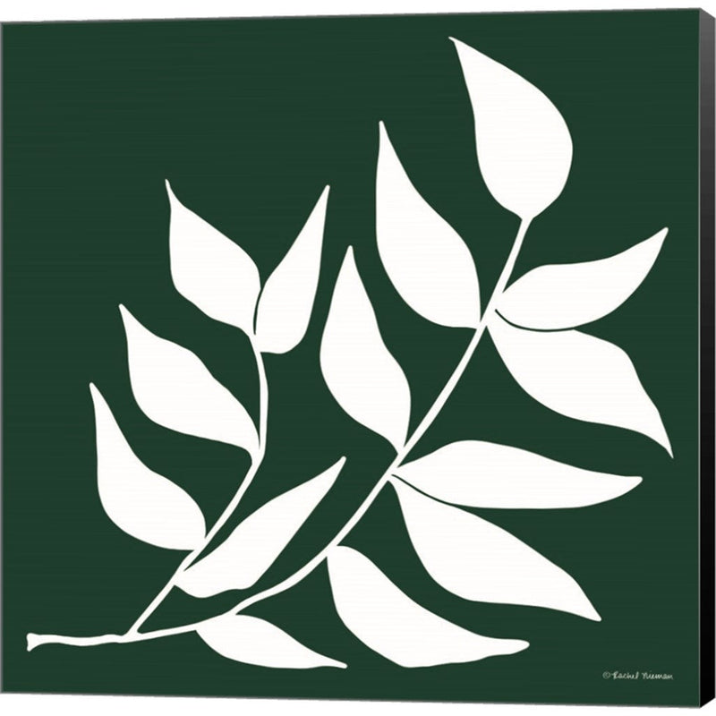 Modern Graphic Leaf Stem by Rachel Nieman, Canvas Art