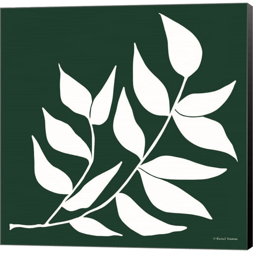Modern Graphic Leaf Stem by Rachel Nieman, Canvas Art
