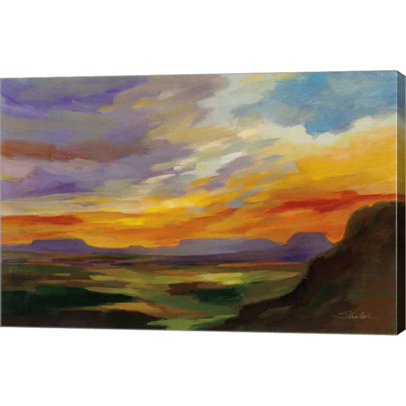 Sonoran Desert Sunset by Silvia Vassileva, Canvas Art