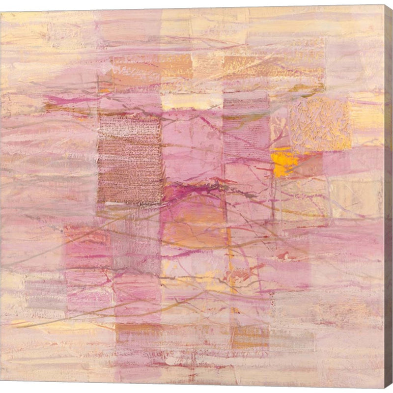 Monocromo Rosa by Lucas, Canvas Art
