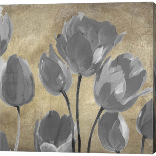 Grey Tulips II by Luca Villa, Canvas Art