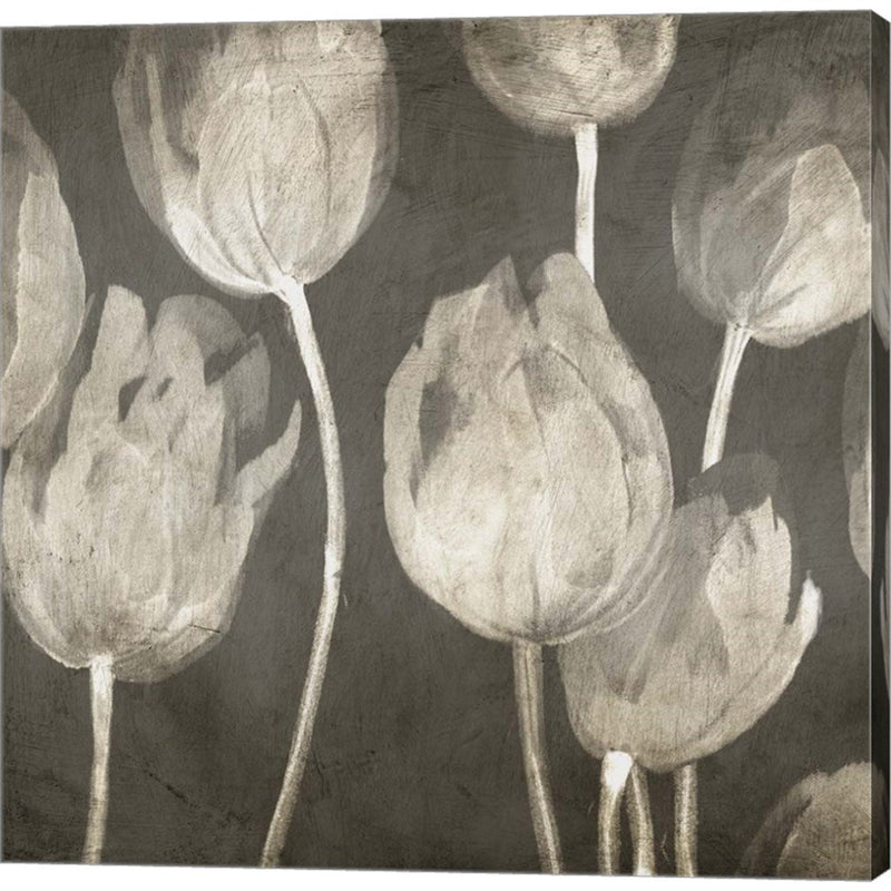 Washed Tulips I by Luca Villa, Canvas Art