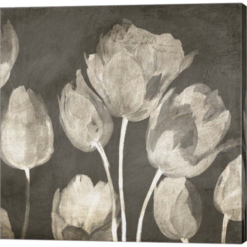 Washed Tulips II by Luca Villa, Canvas Art