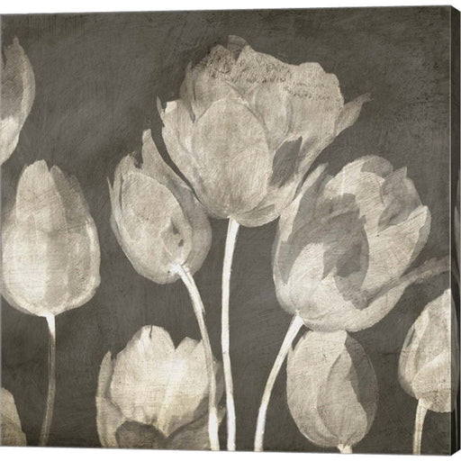 Washed Tulips II by Luca Villa, Canvas Art
