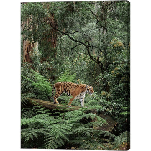 In the Jungle by Pangea Images, Canvas Art
