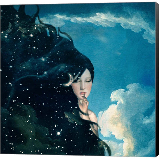 Lady Night by Paula Belle Flores, Canvas Art
