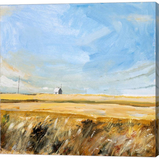 Country Sky by Michael Paraskevas, Canvas Art