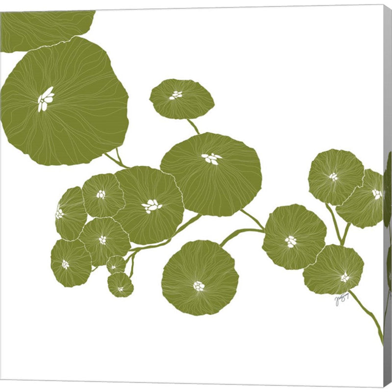 Pilea by Trish Sierer, Canvas Art