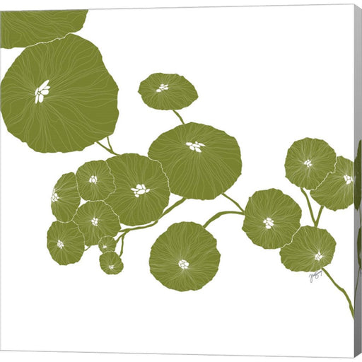 Pilea by Trish Sierer, Canvas Art