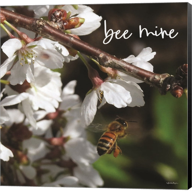 Bee Mine by Susie Boyer, Canvas Art