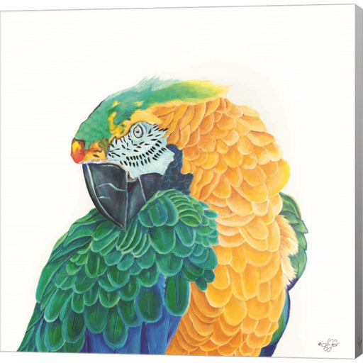 Coyness by Diane Fifer, Canvas Art