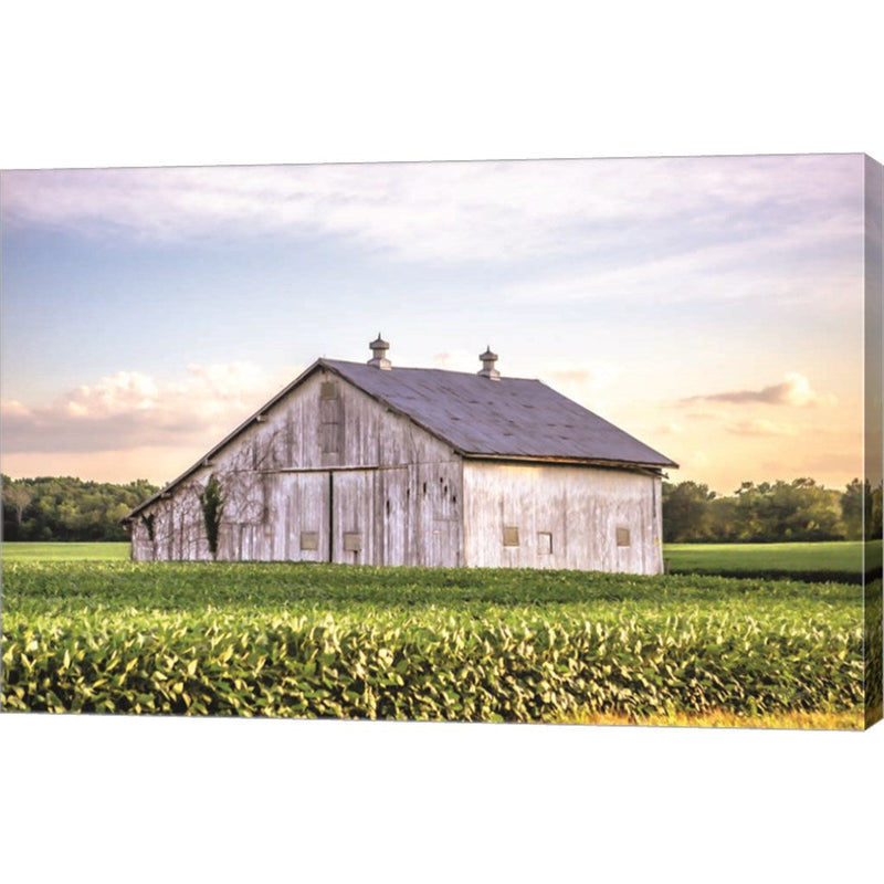 Rural Ohio Barn by Donnie Quillen, Canvas Art