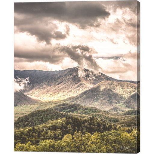 After the Storm by Donnie Quillen, Canvas Art