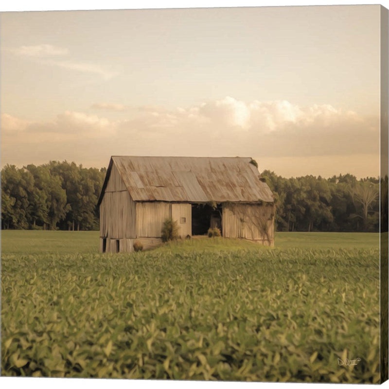 Rural Barn by Donnie Quillen, Canvas Art