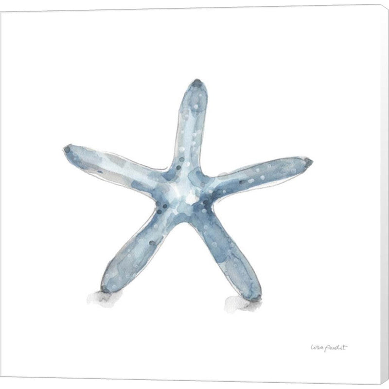 Blue Escape Coastal 08 by Lisa Audit, Canvas Art