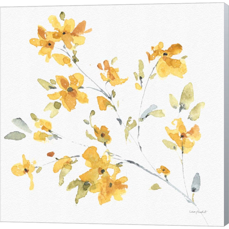 Happy Yellow 05A by Lisa Audit, Canvas Art