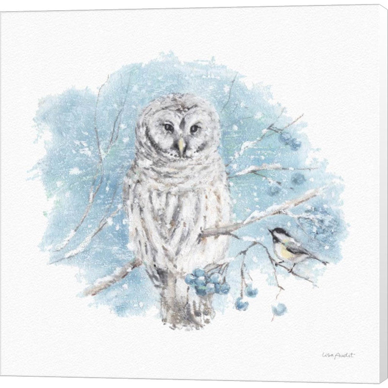 Let it Snow 06 by Lisa Audit, Canvas Art