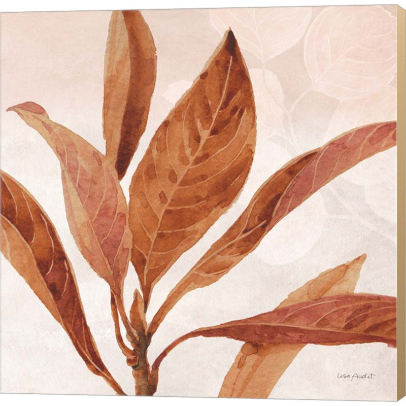 Terra 02 by Lisa Audit, Canvas Art